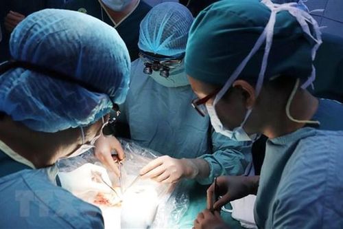 Bệnh viện Nhi đồng 2 thực hiện ghép gan lại sau 8 tháng gián đoạn