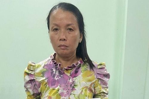 Bắt giữ đối tượng lừa đảo, chiếm đoạt tài sản của người cao tuổi