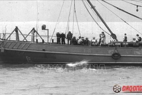 50 năm chiến thắng phong tỏa sông biển miền Bắc 1973