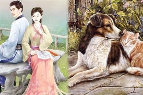 Cổ nhân đúc kết: 'Đàn ông sợ mài, đàn bà sợ ngâm, con gà sợ ném, con chó sợ liếm' vì sao lại như vậy?