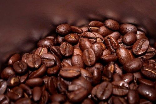 Sản lượng cà phê của Angola tăng 13% trong năm nay
