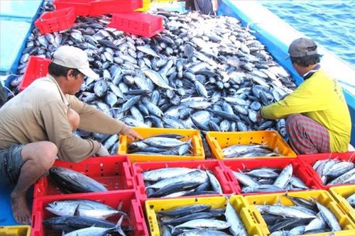 Doanh nghiệp thủy sản và đồ gỗ 'oằn mình' vì lãi vay