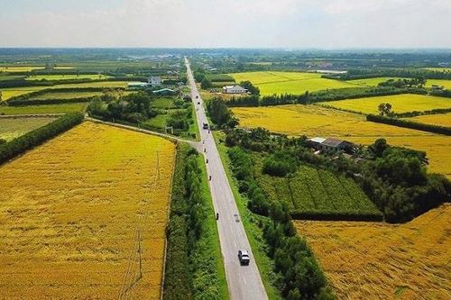 Bình Định: 10 dự án khu đô thị gặp vướng về thủ tục chuyển đổi đất lúa