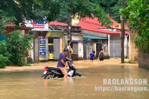 Một người mất tích, thiệt hại nhiều tài sản do mưa lũ