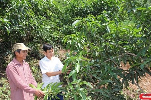 Phiêng Côn xây dựng nông thôn mới