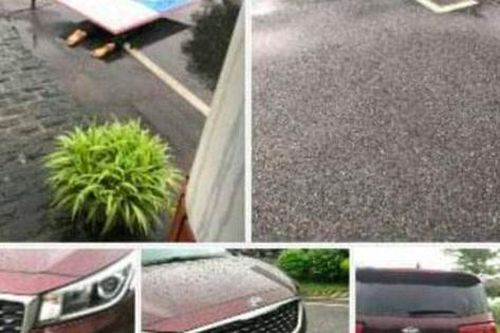 Tình huống pháp lý vụ thi thể nữ công nhân bị ô tô kéo lê 10km