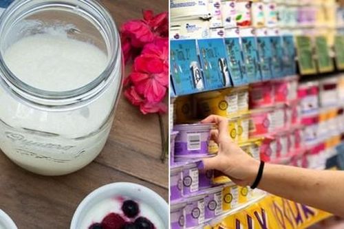 Một loại sữa chua bị thu hồi khẩn cấp tại Úc do nguy cơ nhiễm khuẩn độc