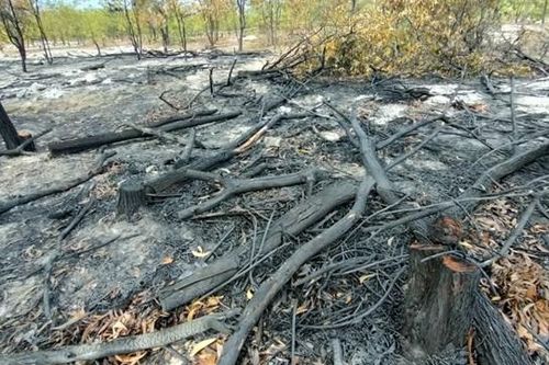 Quảng Nam: Đốt lửa trong rừng để diễn tập phòng cháy chữa cháy rừng!