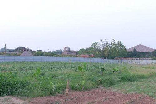 Phúc Thọ: Đấu giá cho thuê 186.000m2 đất nông nghiệp công ích, khởi điểm 675 đồng/m2