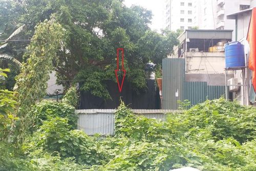 Hàng loạt công trình vi phạm trật tự xây dựng bên tuyến Vành đai 2,5