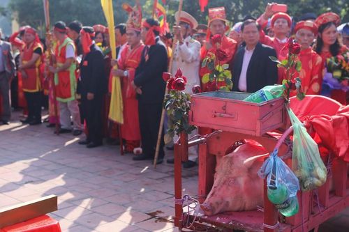 Lễ hội sử dụng động vật nên thay đổi thế nào?
