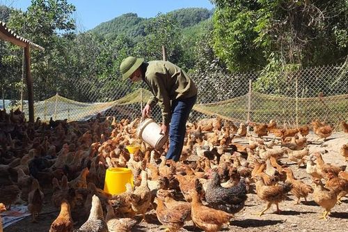 Thành phố Hạ Long hoàn thành nhiệm vụ xây dựng nông thôn mới