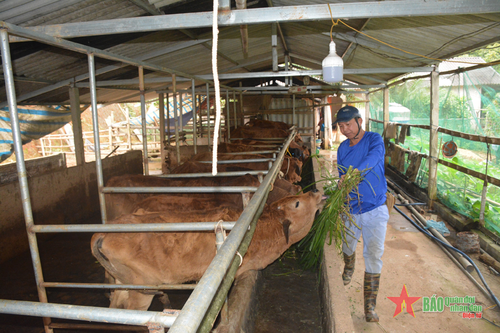 'Tiếp sức' cho người dân vùng khó Trấn Yên