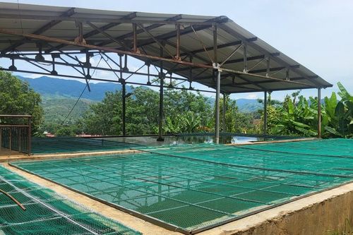 Từ phản ánh của Báo SGGP: 12 ngày xử lý nước sinh hoạt đục thành trong
