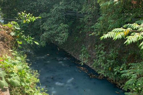 Hai hồ điều hòa ở TP Quảng Ngãi chứa đầy nước thải sinh hoạt, gây ô nhiễm