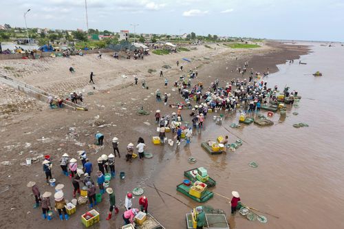 Rác thải 'tấn công' bãi biển ở Nam Định