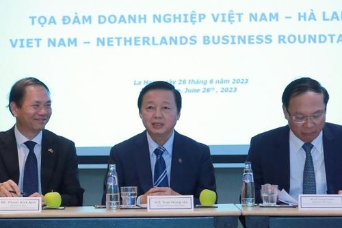 Việt Nam có tiềm năng trở thành một trung tâm năng lượng tái tạo của thế giới