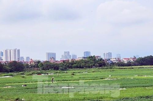 Siêu dự án khu nhà ở sinh thái Đồng Mai 'ôm' đất gần 20 năm không triển khai