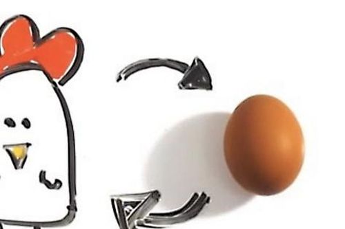 Câu hỏi ngàn năm 'Con gà hay quả trứng có trước' đã tìm ra lời giải?