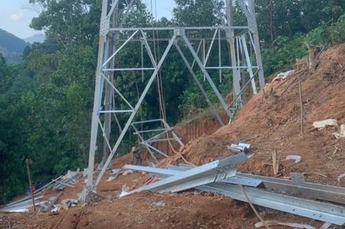 Ban Chỉ đạo Quốc gia về phát triển điện lực thúc tiến độ chuyển mục đích sử dụng rừng dự án Đường dây 220kV Nậm Sum – Nông Cống