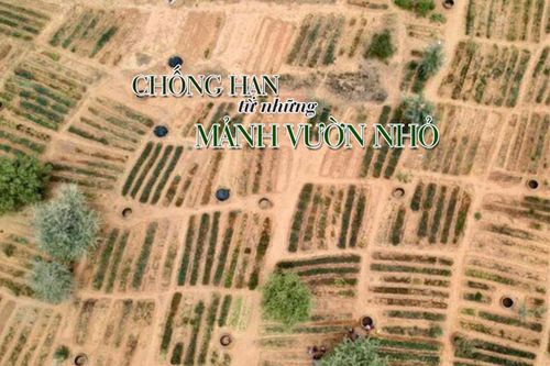 Phụ nữ Niger chống hạn từ những mảnh vườn nhỏ