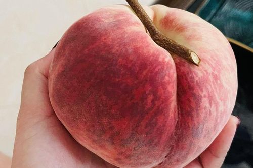 'Đào tiên' Trung Quốc 70.000 đồng một quả, khách 'xếp hàng' mua ăn