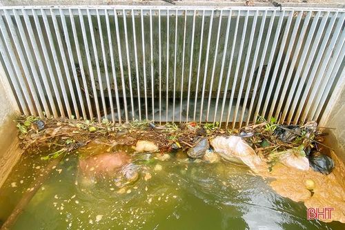 Rác thải sinh hoạt 'kẹt cứng' tại lưới chắn kênh Ngàn Trươi - Cẩm Trang