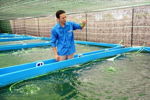 Tiếp sức cho thanh niên phát triển kinh tế