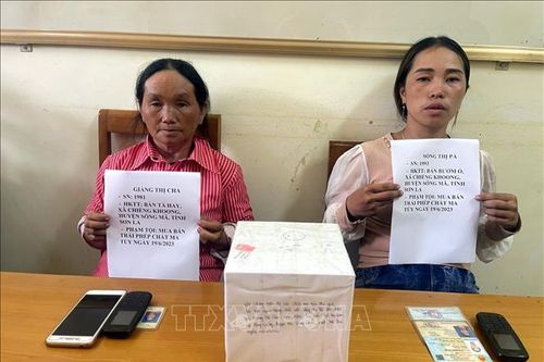Bắt tạm giam hai đối tượng mua bán trái phép ma túy