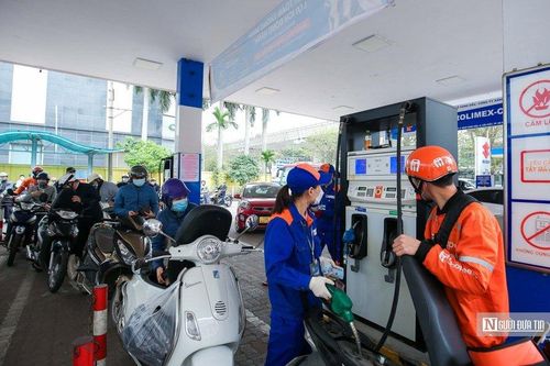Giám đốc VESS: Chính sách thuế với xăng dầu hiện tại không còn phù hợp