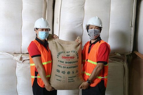 Xuất container cà phê đặc sản đầu tiên sang Nhật
