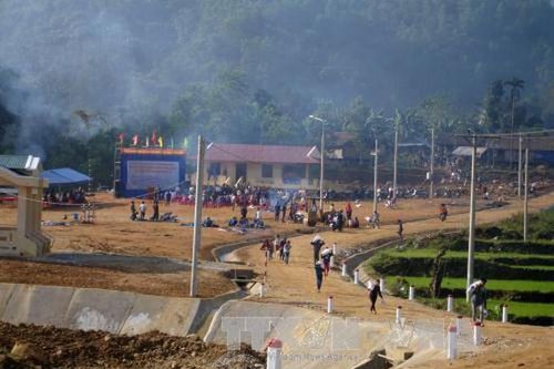 Huyện miền núi Trà Bồng phát triển rừng bền vững
