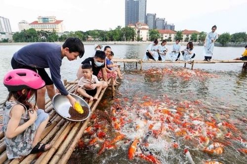 Chiêm ngưỡng hồ cá Koi rộng 3,5ha giữa lòng Hà Nội