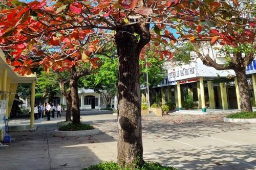 Như một giờ ra chơi