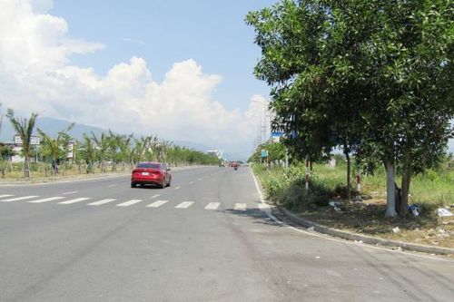 Biển báo giao thông bị cây xanh che khuất