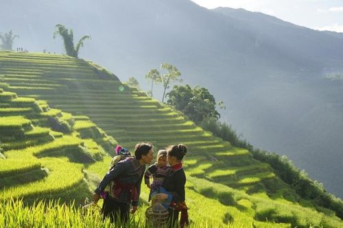Vai trò của giáo dục trong gia đình