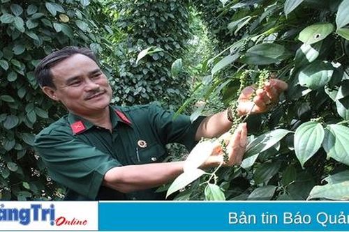Làm giàu từ đồng đất quê nhà