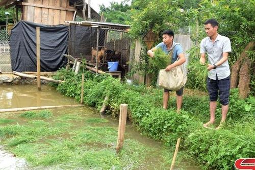 Chiềng La phát triển nghề nuôi cá thương phẩm