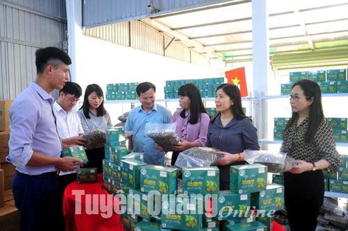 Trụ đỡ của nền kinh tế - Bài 1: Quyết sách để phát triển nông nghiệp bền vững