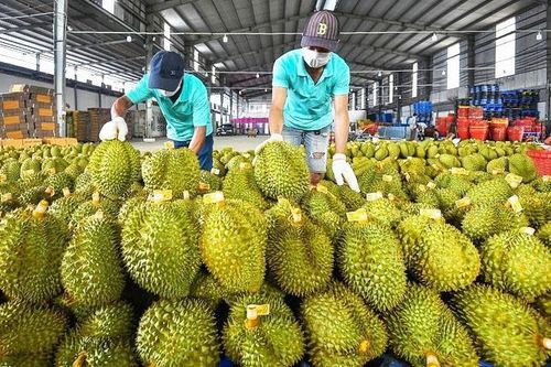 Nắm bắt các cơ hội mới tại thị trường truyền thống Trung Quốc