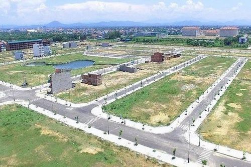 Bình Định xin 'gỡ khó' cho 10 dự án vướng đất trồng lúa