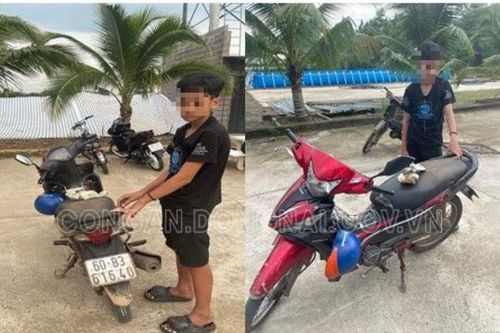 Đồng Nai: Đối tượng cướp giật sa lưới sau 5 giờ truy bắt