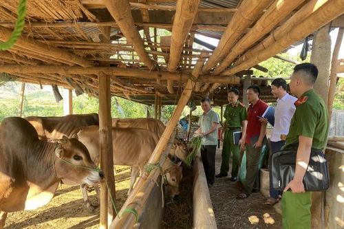 Bản bền vững '4 không' về ma túy