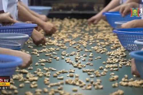Xuất khẩu của Việt Nam có thể đạt 618 tỷ USD