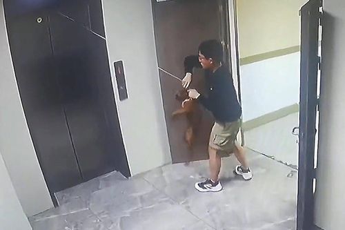Chú chó bị thang máy nhấc bổng, thanh niên nhanh trí giải cứu