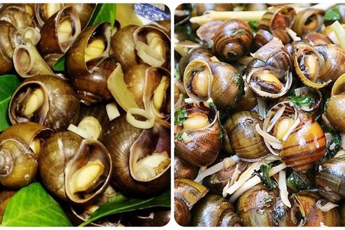 Những ai không nên ăn ốc?