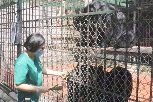 Trung tâm Cứu hộ động vật hoang dã Hà Nội: Cấp thiết mở rộng để phát triển