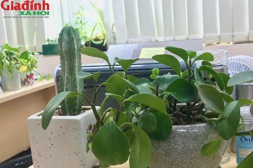 Nếu không muốn thất thoát tiền bạc, tránh làm những việc sau đây