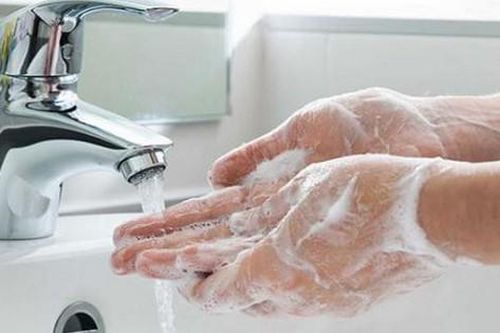 8 vị thuốc phòng ngừa bệnh tay chân miệng