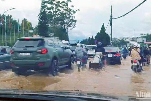 Khẩn trương triển khai các biện pháp hạn chế tình trạng ngập cục bộ tại Đà Lạt